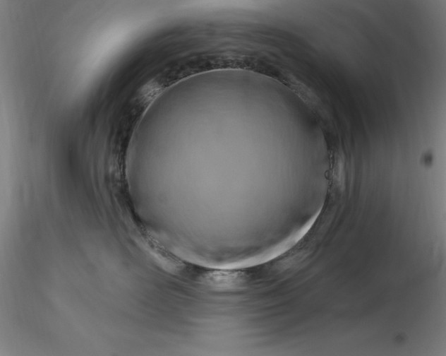 X0000116280526200912211822