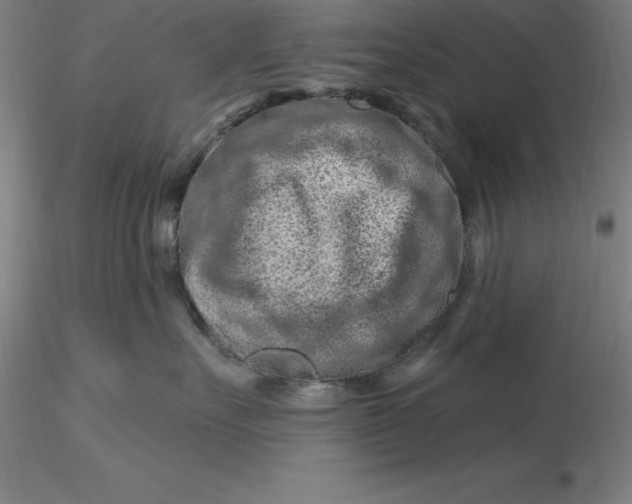 X0000116280527200912211822