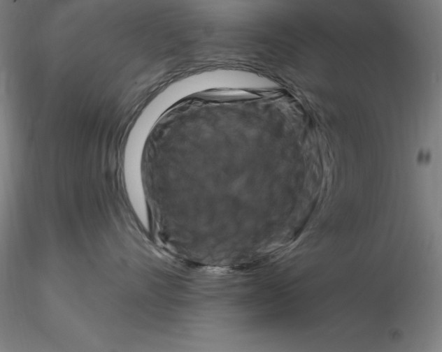 X0000116280528200912211822