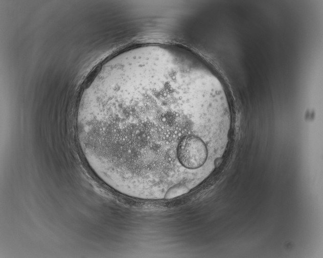 X0000116280529200912211821