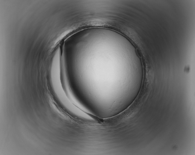 X0000116280530200912211821