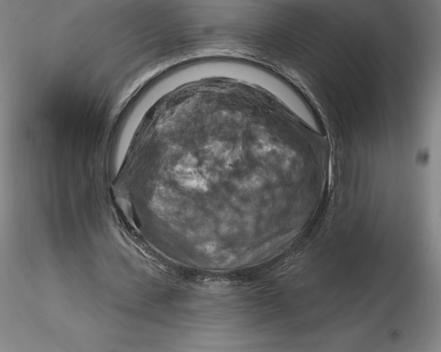 X0000116280531200912211821