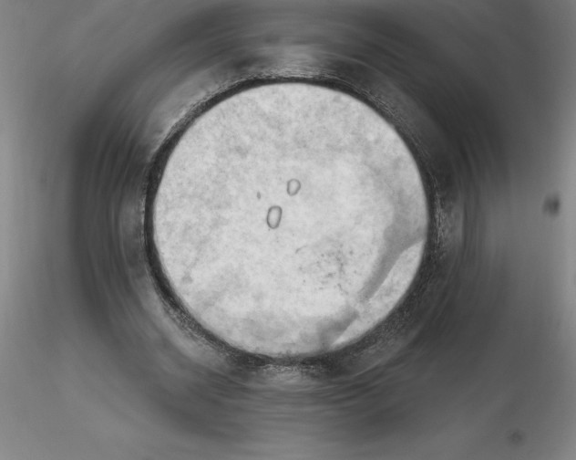 X0000116280534200912211821