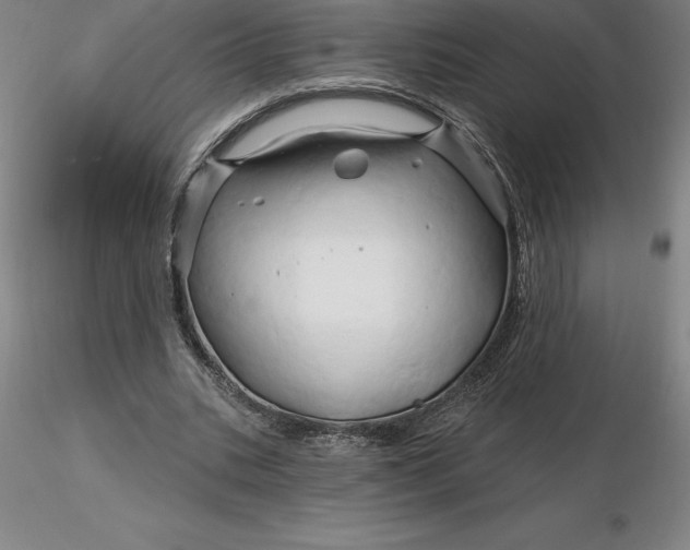 X0000116280535200912211821