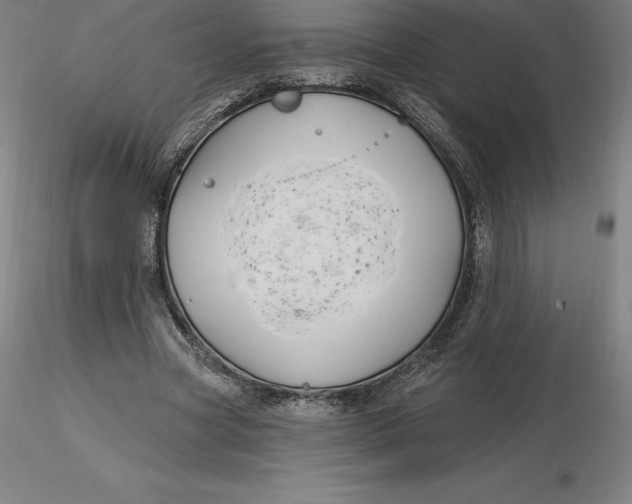 X0000116280537200912211821