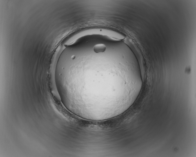 X0000116280538200912211821