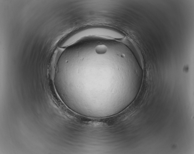 X0000116280539200912211821