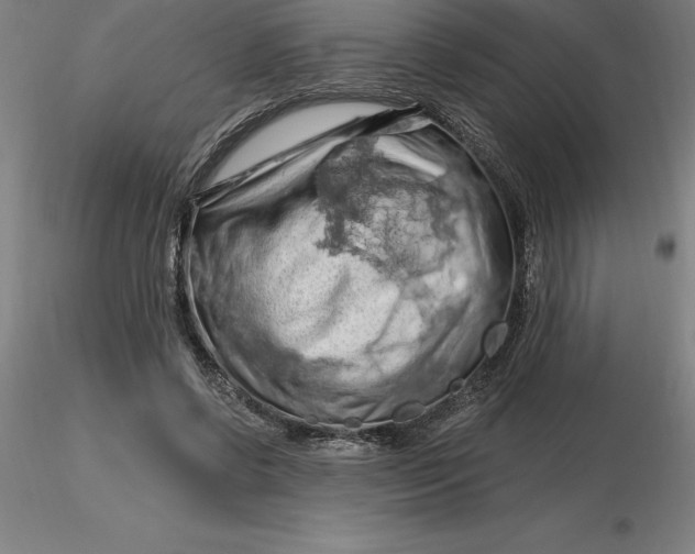 X0000116280542200912211821