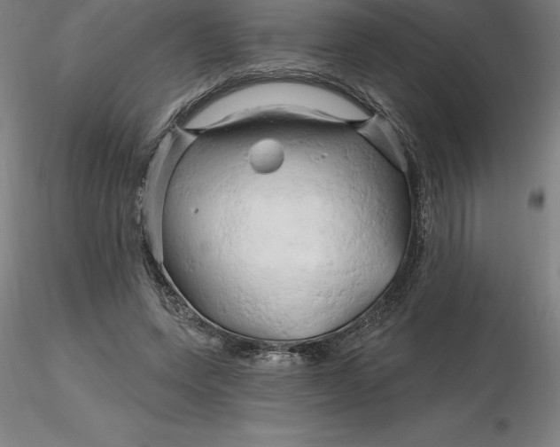 X0000116280543200912211821