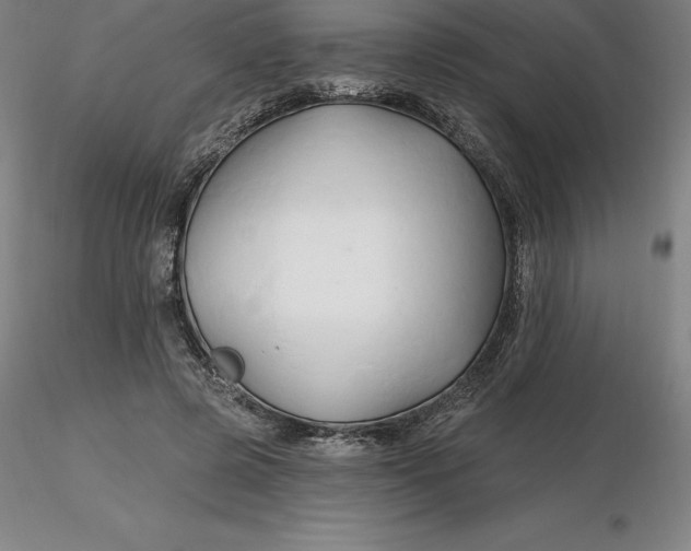 X0000116280545200912211821