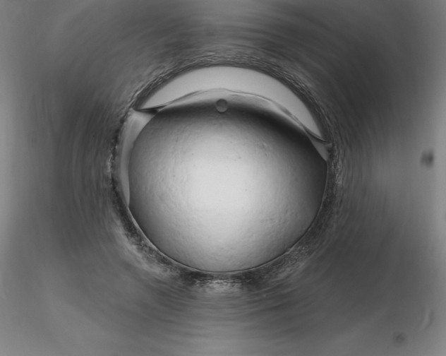 X0000116280546200912211821