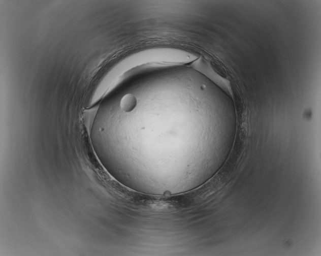 X0000116280547200912211821