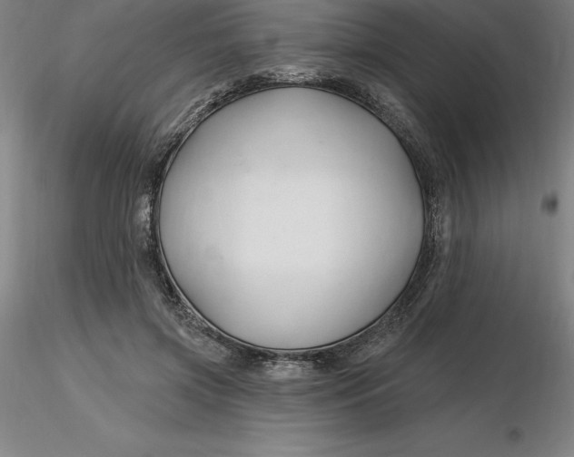 X0000116280549200912211821