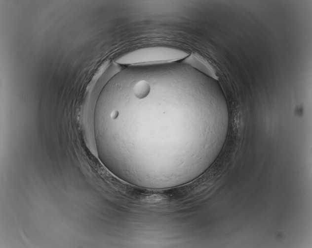 X0000116280551200912211821