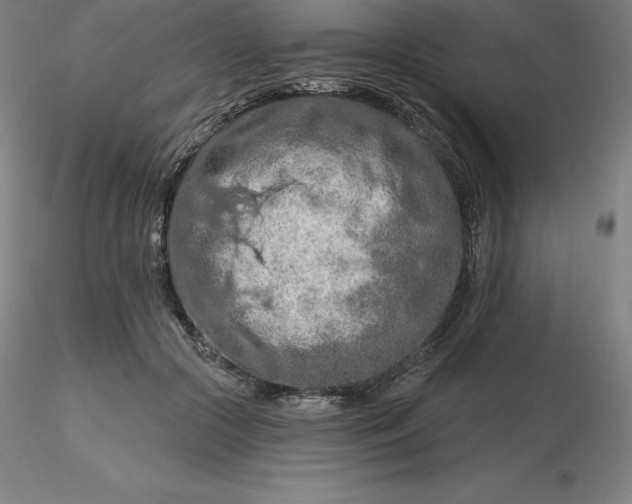 X0000116280553200912211821