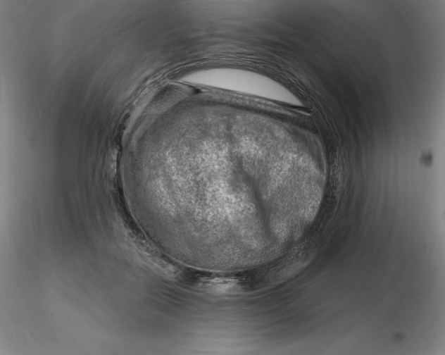 X0000116280554200912211821