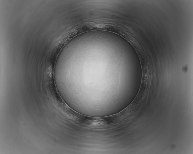 X0000116280555200912211821