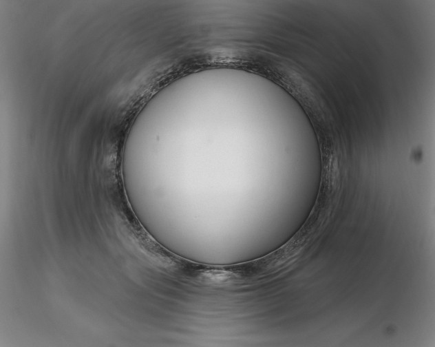 X0000116280557200912211821