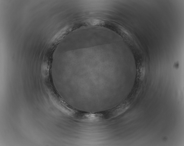 X0000116280558200912211821