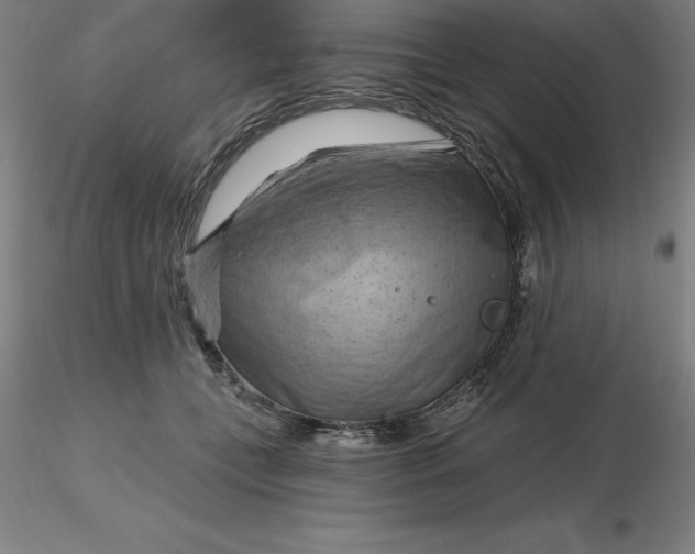 X0000116280559200912211821