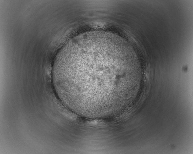 X0000116280561200912211821