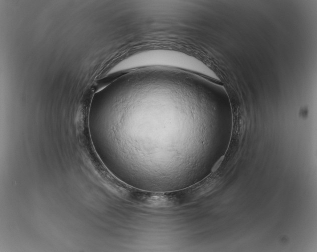 X0000116280562200912211821