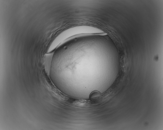 X0000116280563200912211821