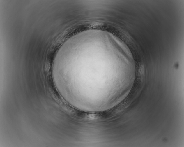 X0000116280565200912211821