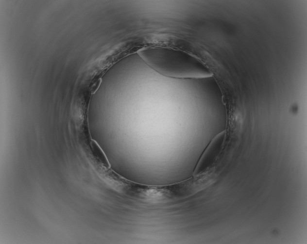 X0000116280566200912211821