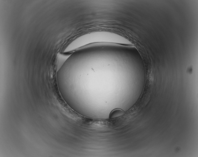 X0000116280567200912211821