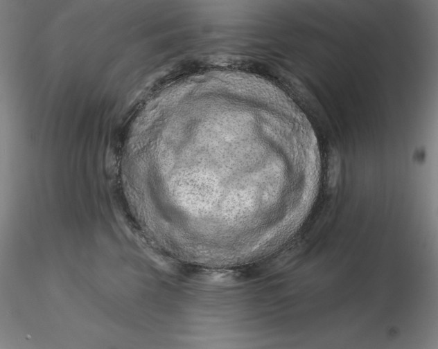 X0000116280569200912211821