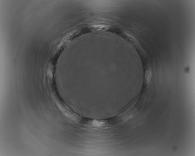 X0000116280570200912211821