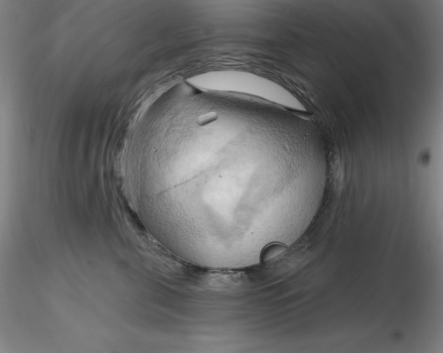 X0000116280571200912211821