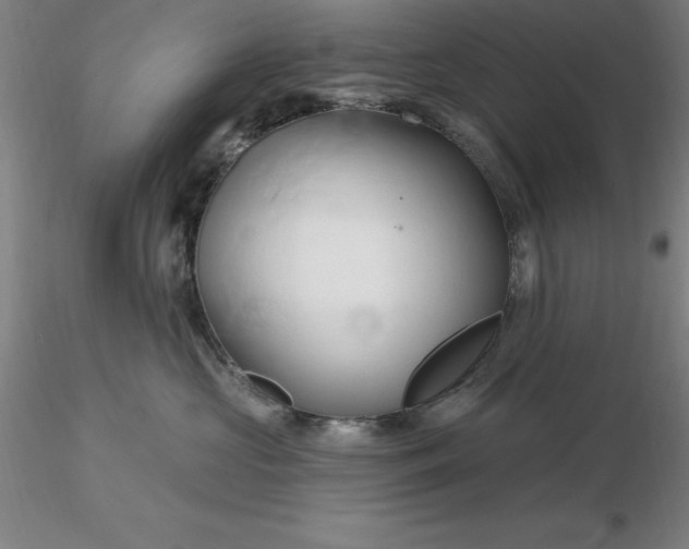 X0000116280573200912211822