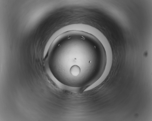 X0000116280574200912211822