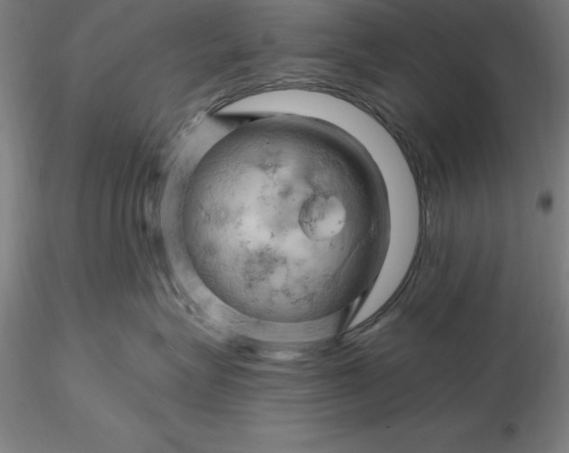 X0000116280575200912211822