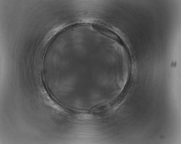 X0000116280577200912211821