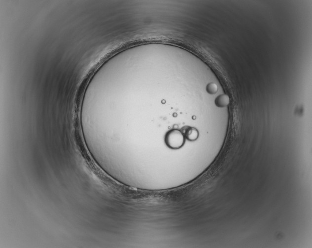 X0000116280578200912211821