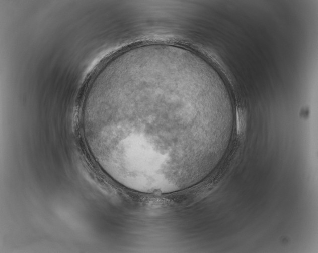 X0000116280579200912211821