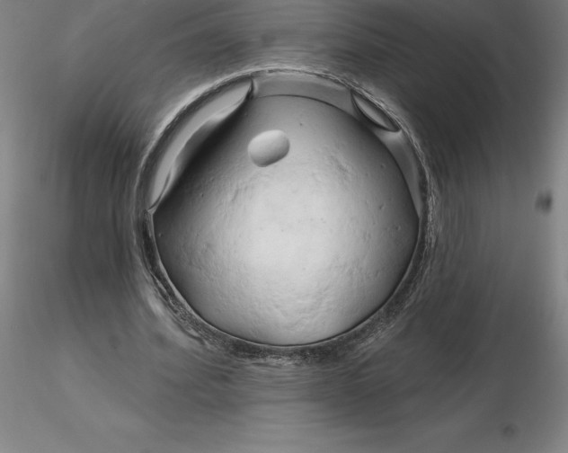 X0000116280580200912211821