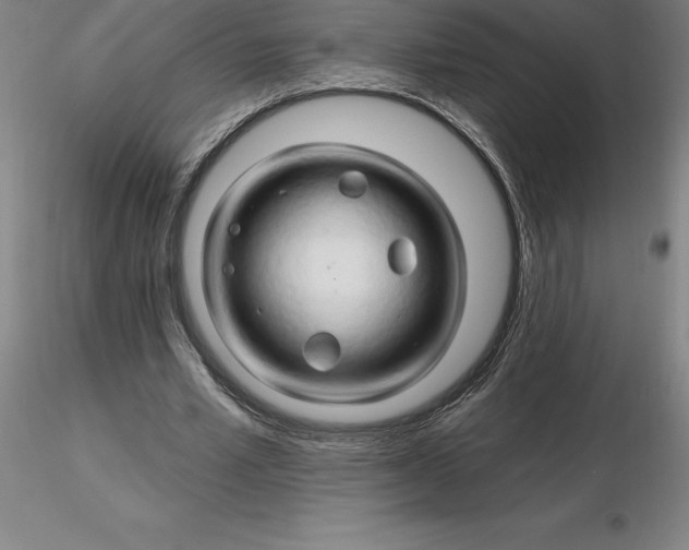 X0000116280581200912211821