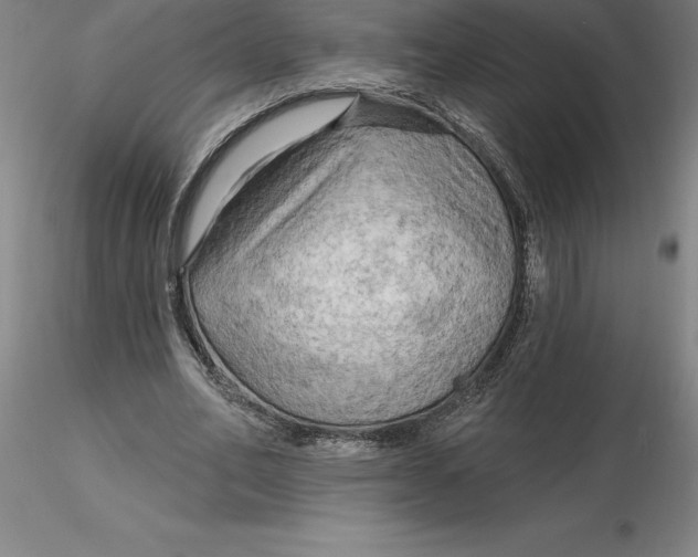 X0000116280582200912211821