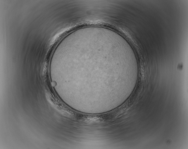 X0000116280583200912211821