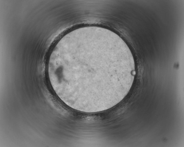 X0000116280584200912211821