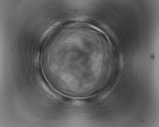 X0000116280585200912211821