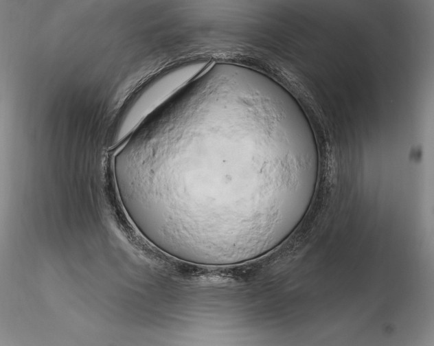 X0000116280586200912211821