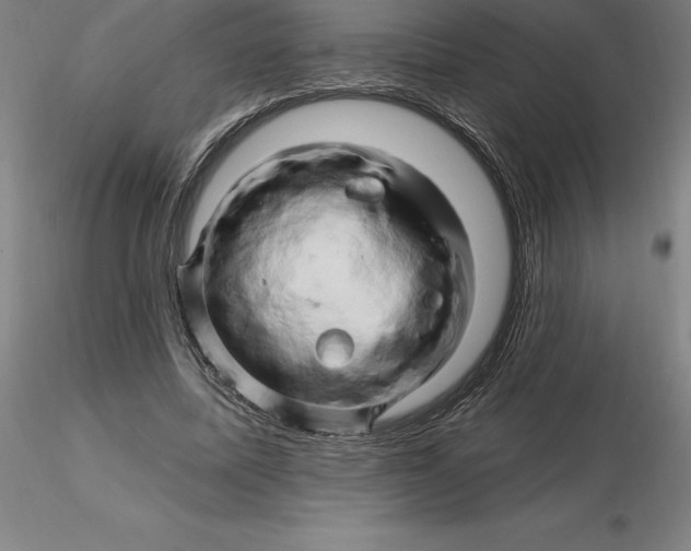 X0000116280587200912211821