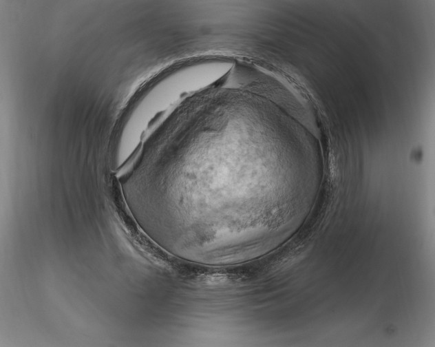 X0000116280588200912211821