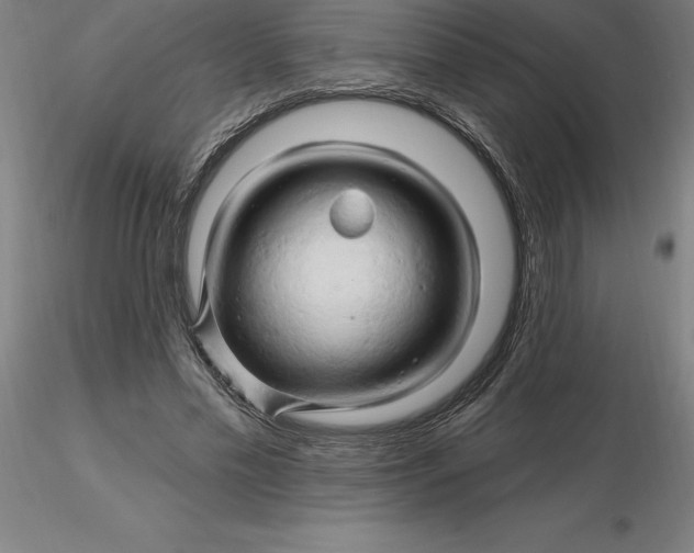 X0000116280589200912211821