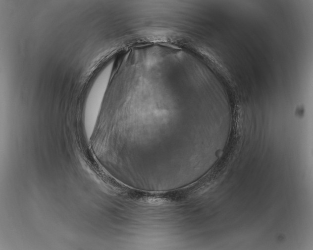 X0000116280590200912211821